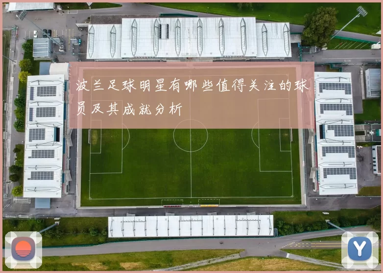 波兰足球明星有哪些值得关注的球员及其成就分析