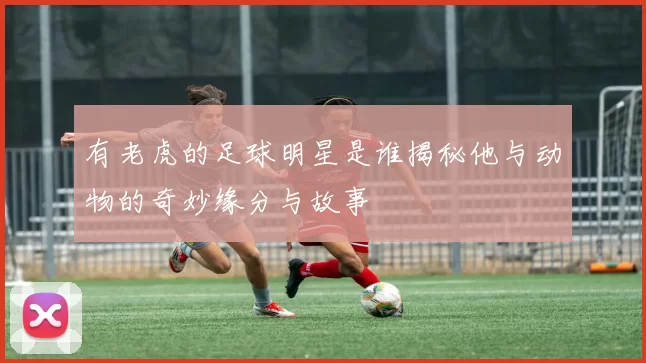 有老虎的足球明星是谁揭秘他与动物的奇妙缘分与故事