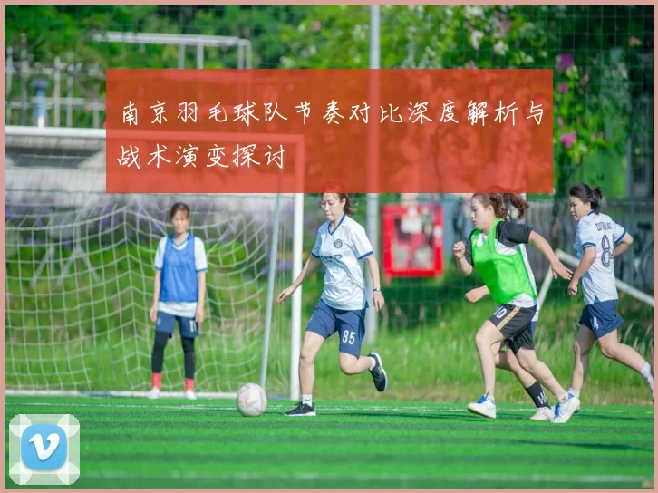 南京羽毛球队节奏对比深度解析与战术演变探讨