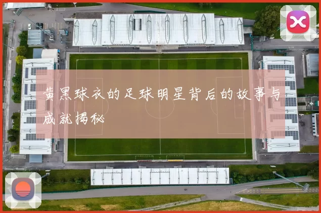 黄黑球衣的足球明星背后的故事与成就揭秘
