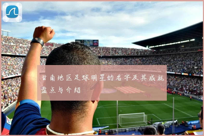 甘南地区足球明星的名字及其成就盘点与介绍