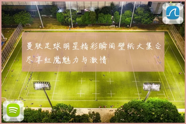 曼联足球明星精彩瞬间壁纸大集合尽享红魔魅力与激情