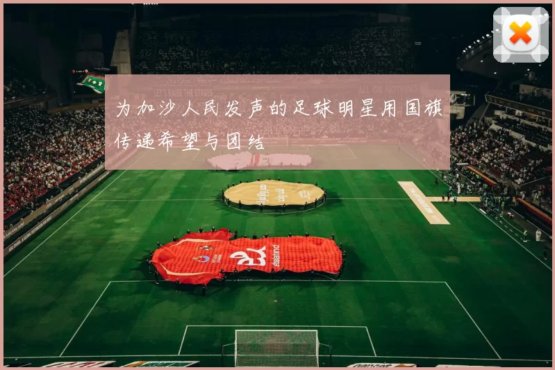 为加沙人民发声的足球明星用国旗传递希望与团结