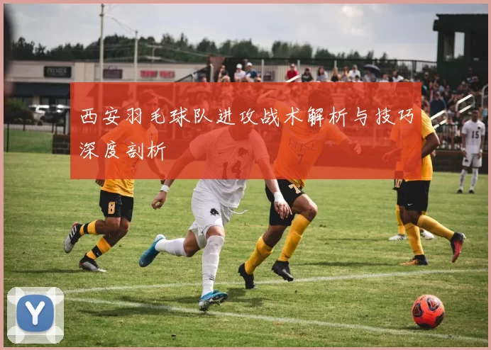 西安羽毛球队进攻战术解析与技巧深度剖析