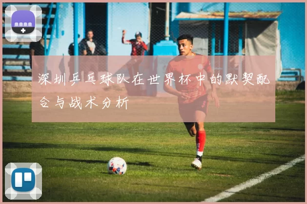 深圳乒乓球队在世界杯中的默契配合与战术分析