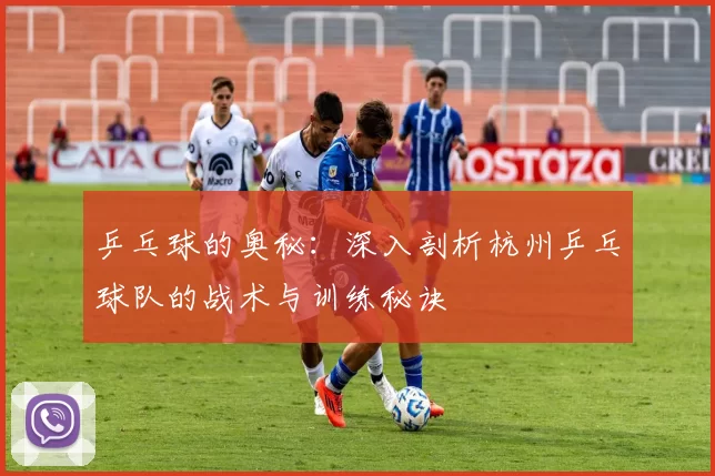 乒乓球的奥秘：深入剖析杭州乒乓球队的战术与训练秘诀