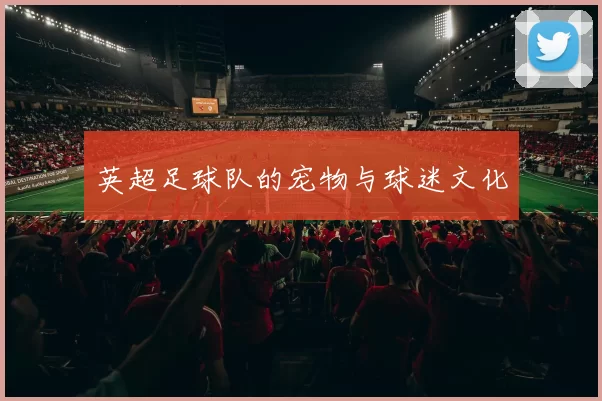 英超足球队的宠物与球迷文化