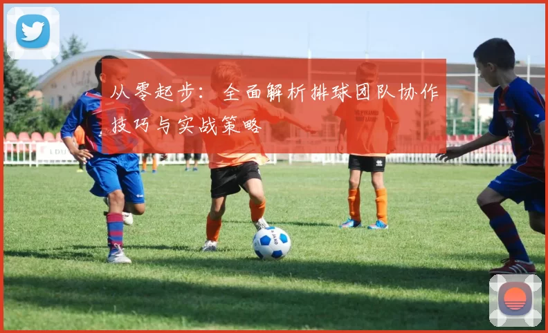 从零起步：全面解析排球团队协作技巧与实战策略