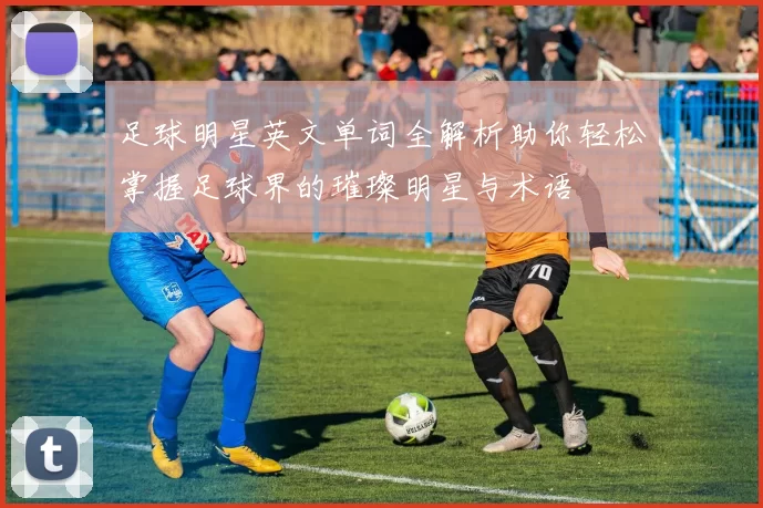 足球明星英文单词全解析助你轻松掌握足球界的璀璨明星与术语