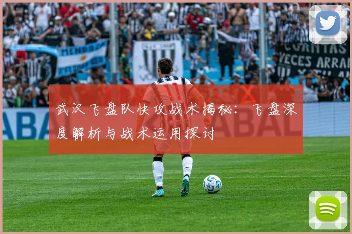 武汉飞盘队快攻战术揭秘：飞盘深度解析与战术运用探讨