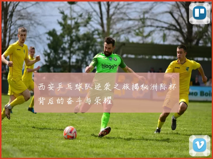 西安乒乓球队逆袭之旅揭秘洲际杯背后的奋斗与荣耀