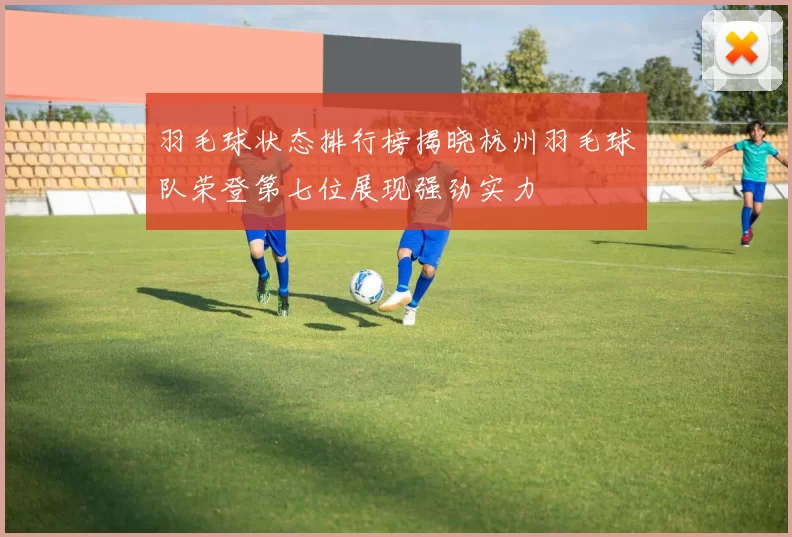 羽毛球状态排行榜揭晓杭州羽毛球队荣登第七位展现强劲实力