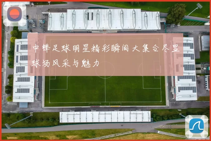 中锋足球明星精彩瞬间大集合尽显球场风采与魅力