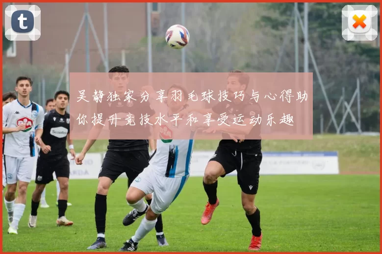 吴静独家分享羽毛球技巧与心得助你提升竞技水平和享受运动乐趣