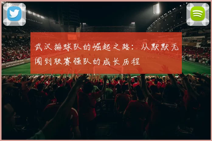 武汉排球队的崛起之路：从默默无闻到联赛强队的成长历程