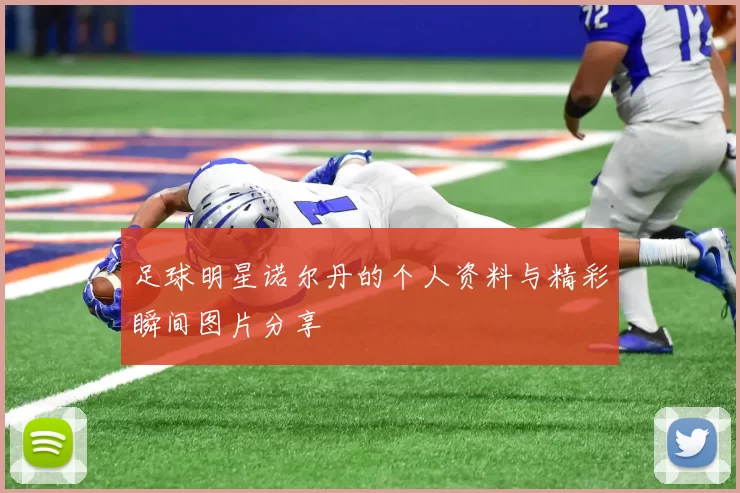 足球明星诺尔丹的个人资料与精彩瞬间图片分享