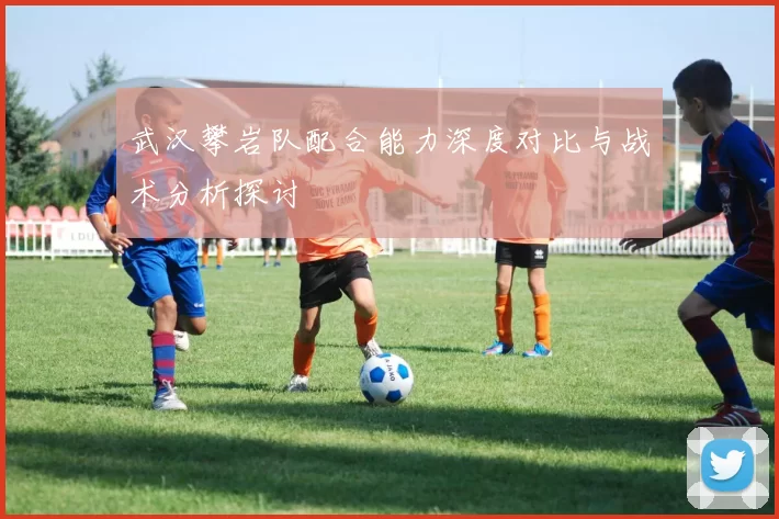 武汉攀岩队配合能力深度对比与战术分析探讨