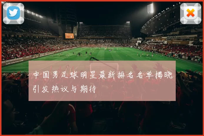 中国男足球明星最新排名名单揭晓引发热议与期待