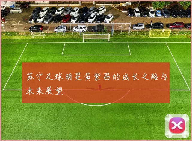 苏宁足球明星黄紫昌的成长之路与未来展望