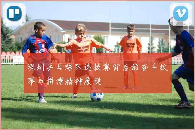 深圳乒乓球队选拔赛背后的奋斗故事与拼搏精神展现