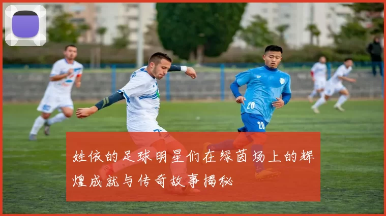 姓依的足球明星们在绿茵场上的辉煌成就与传奇故事揭秘
