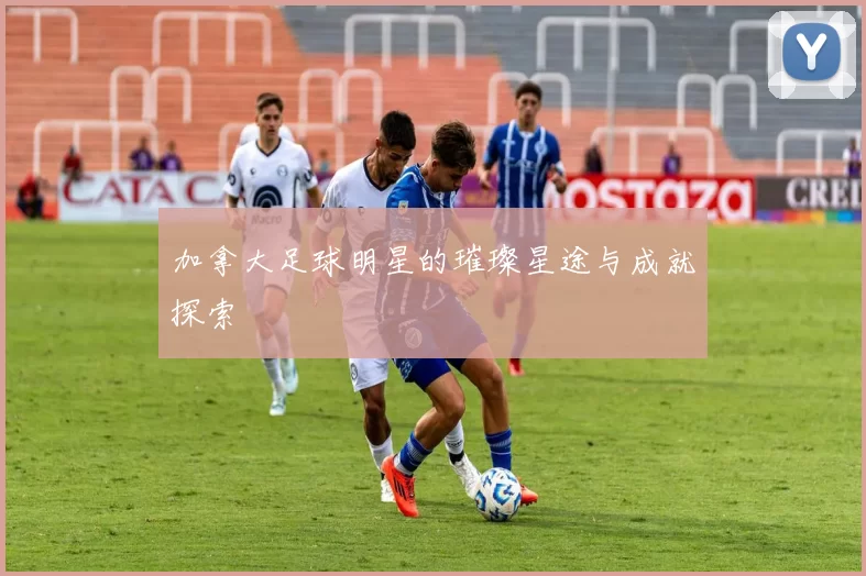 加拿大足球明星的璀璨星途与成就探索