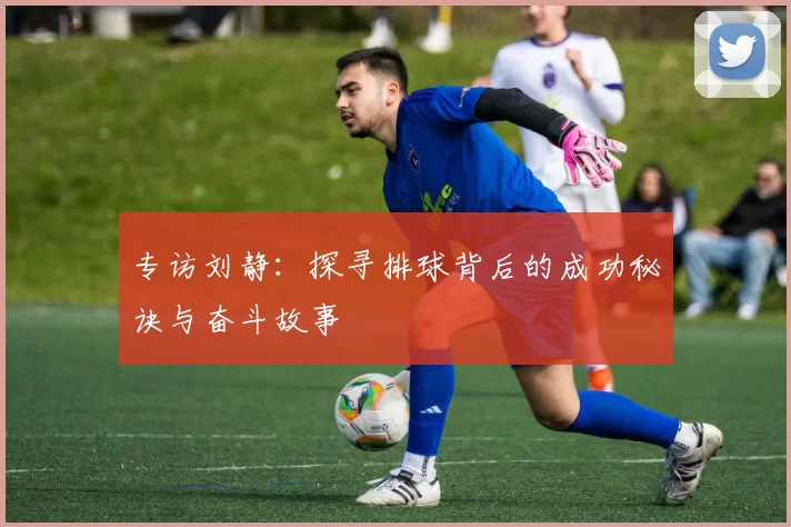 专访刘静：探寻排球背后的成功秘诀与奋斗故事